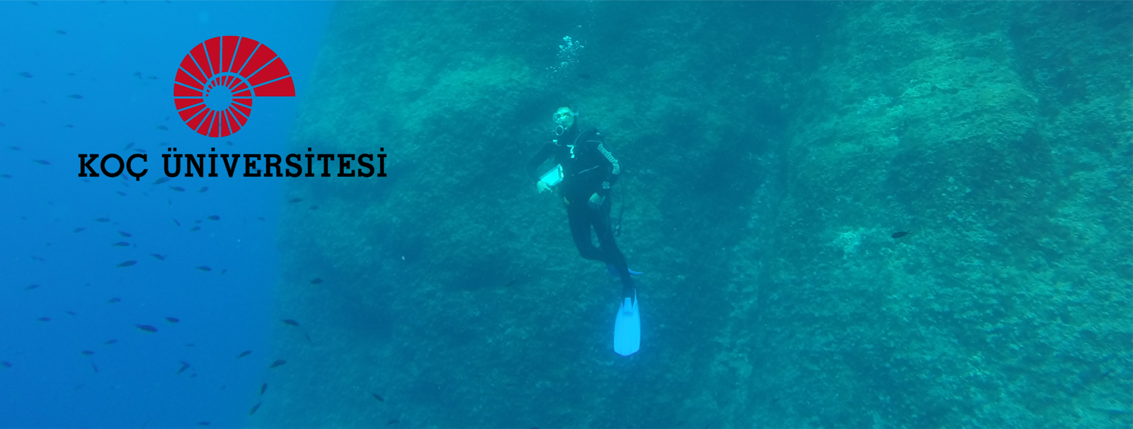 koc universitesi